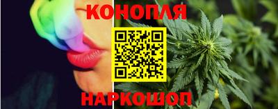 бошки Жуковский