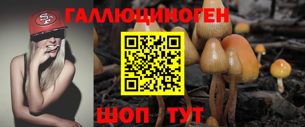 Галлюциногенные грибы мухоморы  Вход с VPN  Нефтекумск 